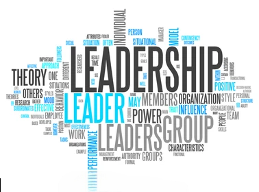 Leadership Theories Icon